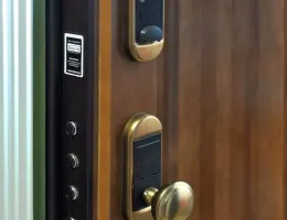 Технологии безопасности: современные замки для входных дверей
