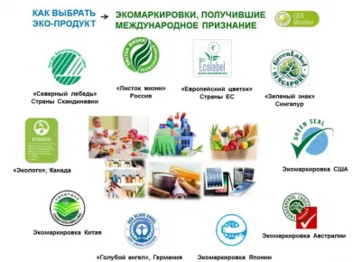 Преимущества экологически чистых материалов для кухни на заказ